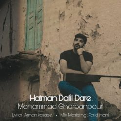 دانلود آهنگ محمد قربان پور حتما دلیل داره